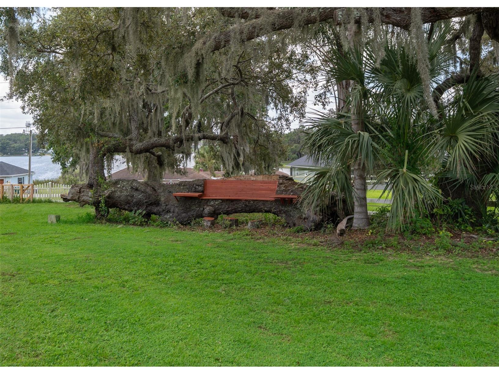 17550 County Road 455 Montverde FL 34756 - LAKE FLORENCE S5129453 image46