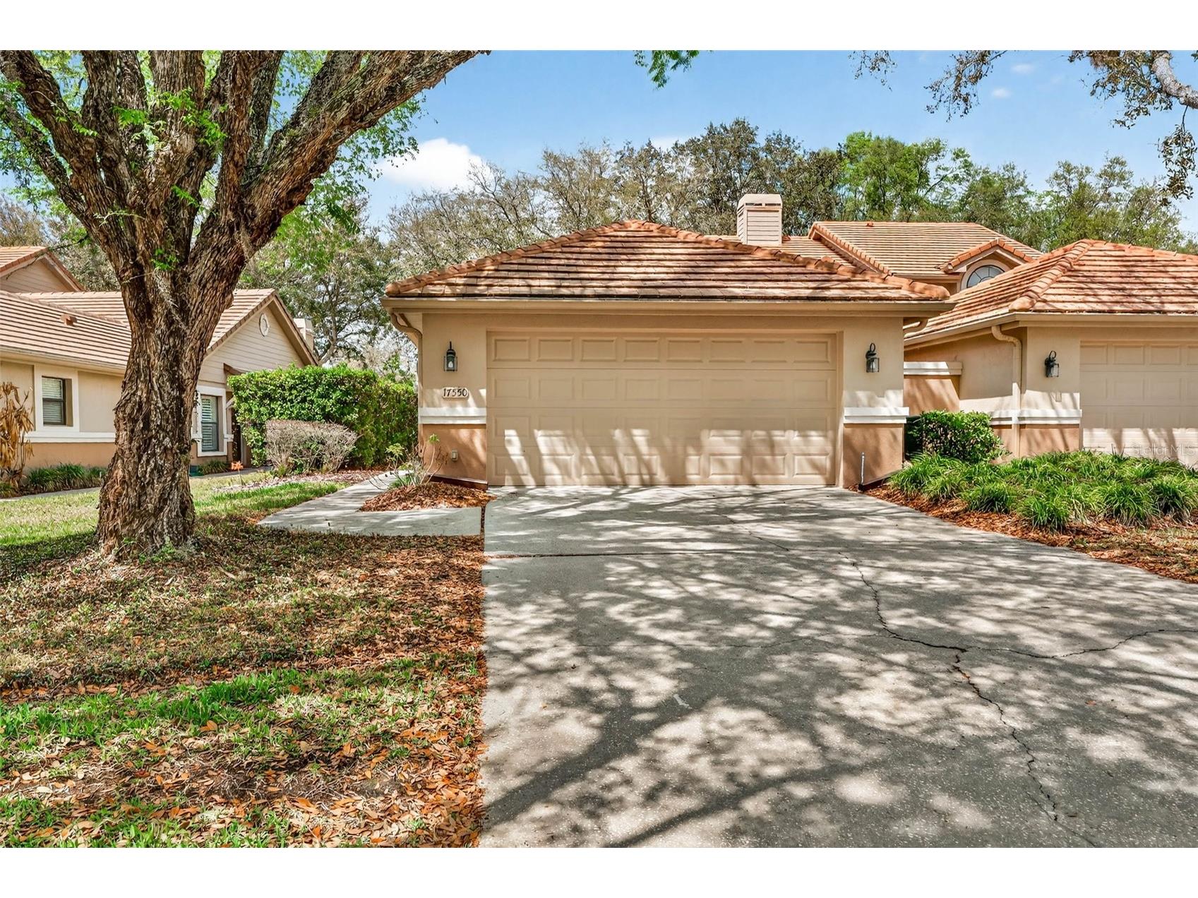17550 Fairmeadow Drive Tampa FL 33647 TB8481376 image1