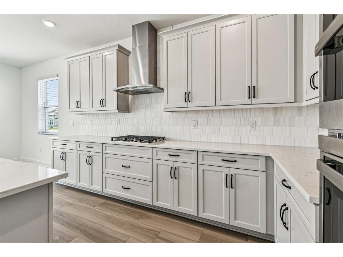 17551 Savory Mist Circle Lakewood Ranch FL 34211 R4909970 image7