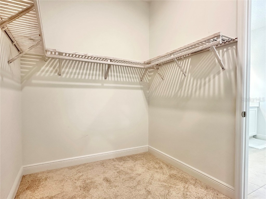 17552 Lake Star Road Winter Garden FL 34787 - LAKE STAR O6315084 image26