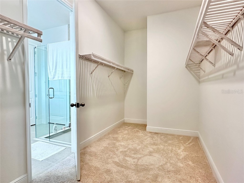 17552 Lake Star Road Winter Garden FL 34787 - LAKE STAR O6344668 image26