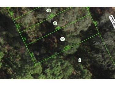 17552 Nectar Flume Land O Lakes FL 34638 J965913 image1