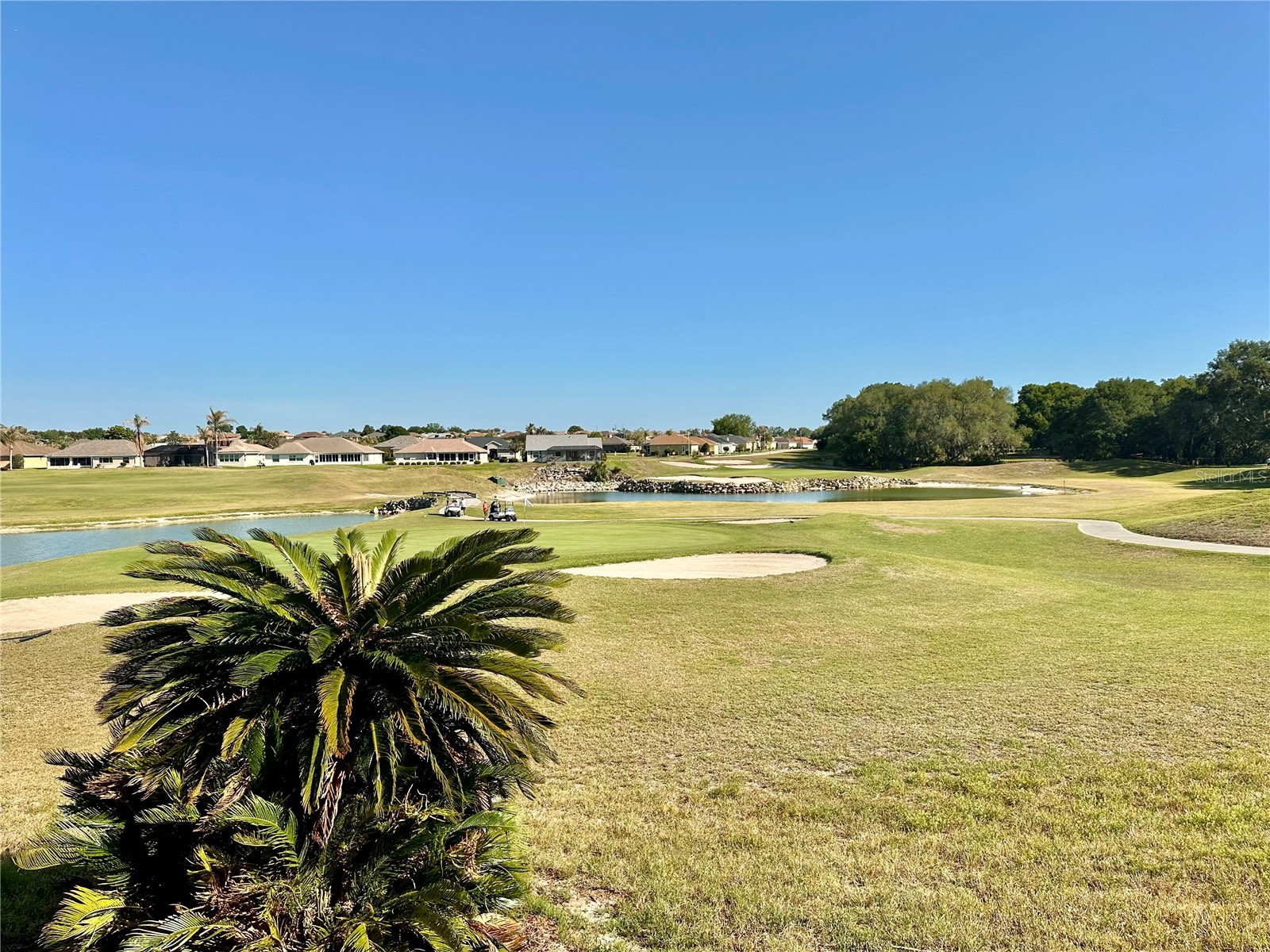 17552 SE 119th Circle Summerfield FL 34491 OM723595 image19