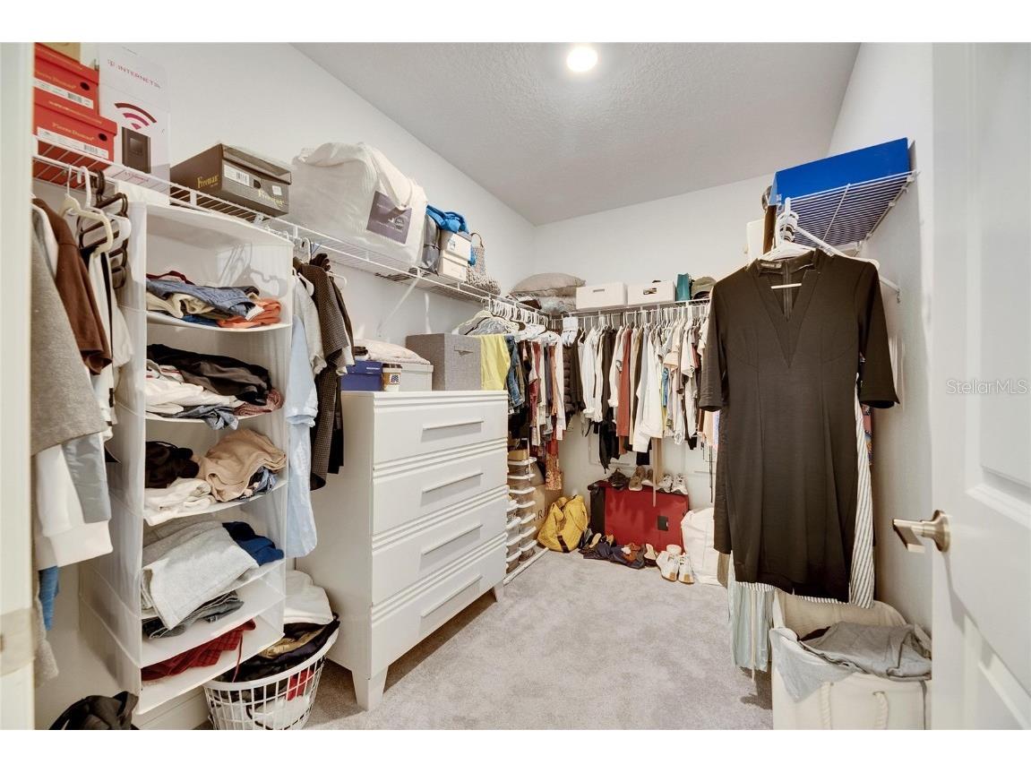 17554 Holly Well Avenue Wimauma FL 33598 TB8333944 image32