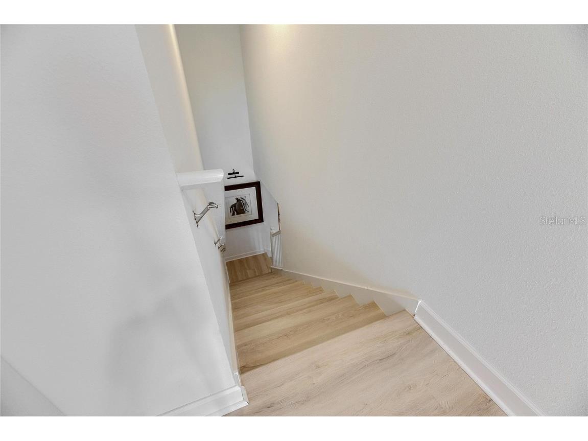 17554 Holly Well Avenue Wimauma FL 33598 TB8333944 image34