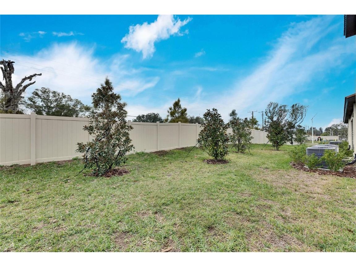 17554 Holly Well Avenue Wimauma FL 33598 TB8333944 image52