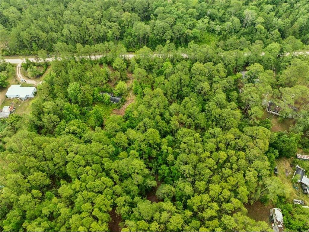 1756 Hazelnut Street Bunnell FL 32110 FC315625 image5