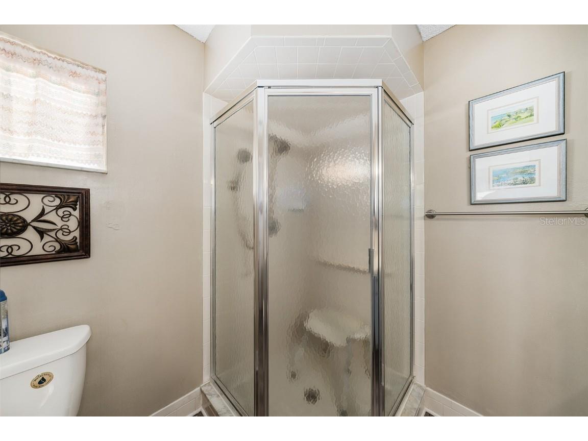 17562 SE 106 Avenue Summerfield FL 34491 G5104861 image20