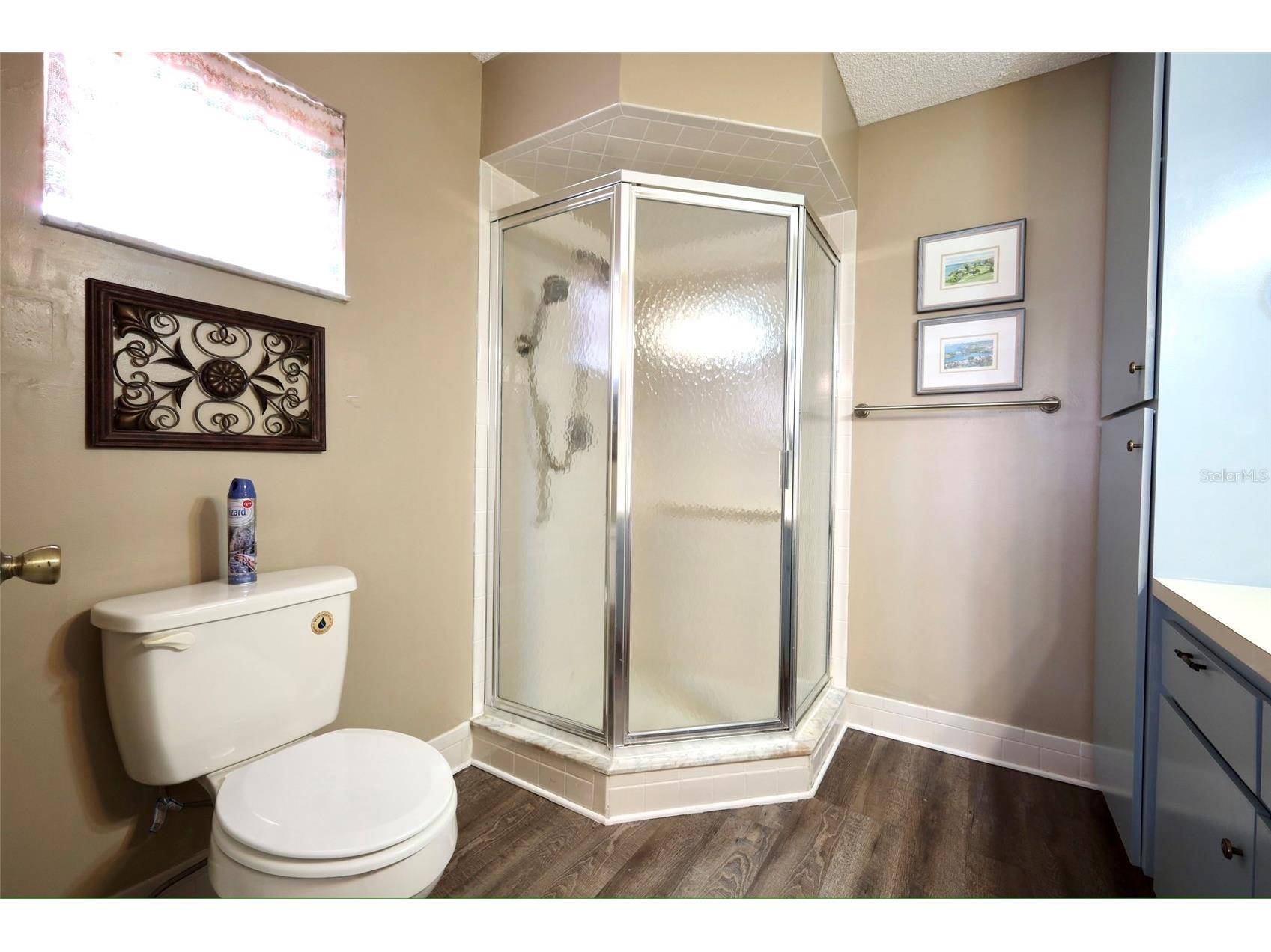 17562 SE 106th Avenue Summerfield FL 34491 G5110810 image12
