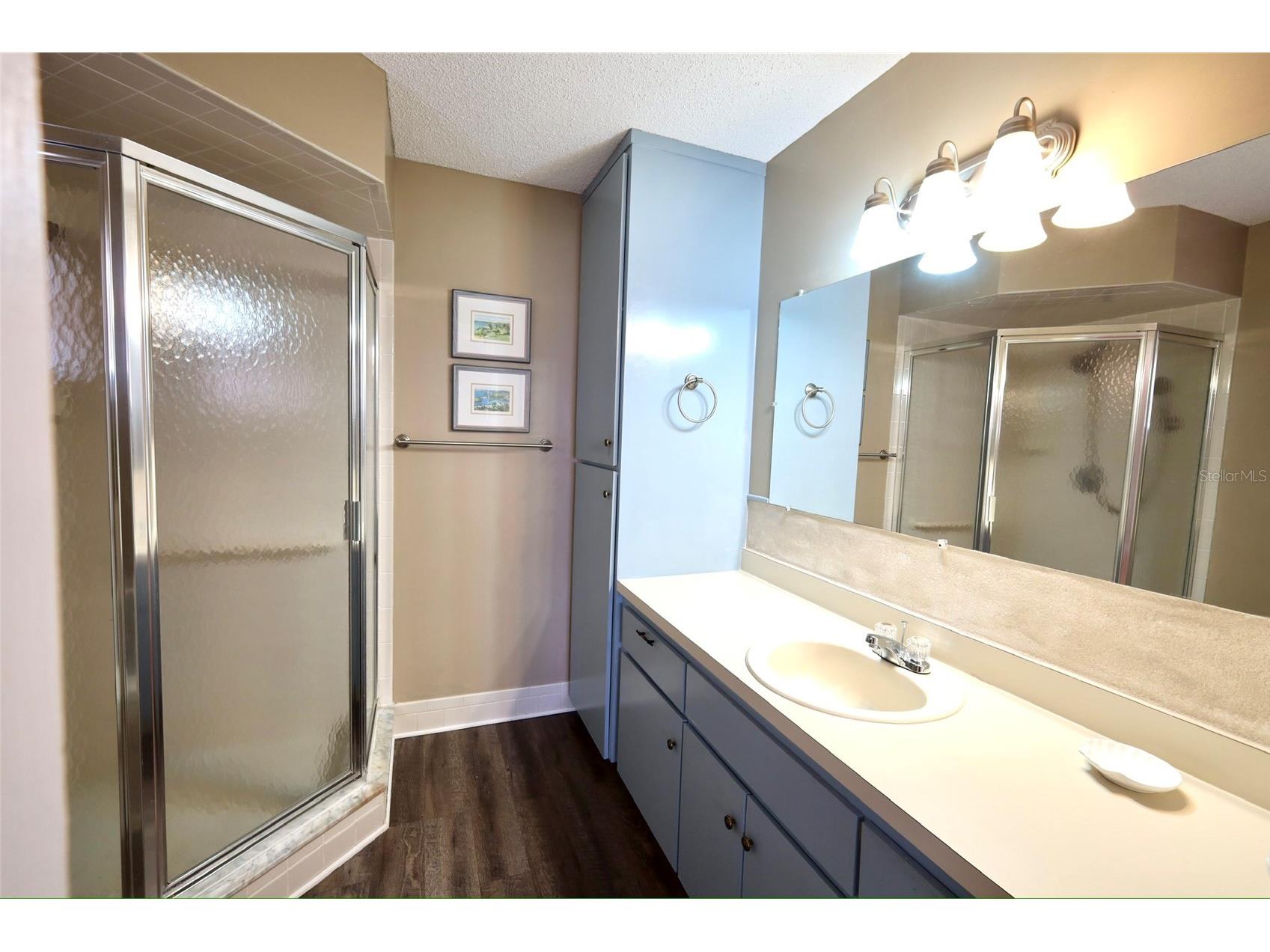 17562 SE 106th Avenue Summerfield FL 34491 G5110810 image13