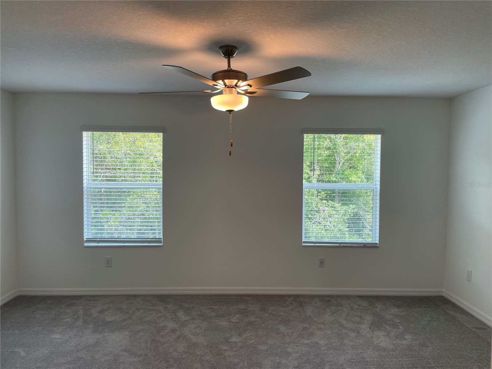 17565 Nectar Flume Drive Land O Lakes FL 34638 TB8527198 image13