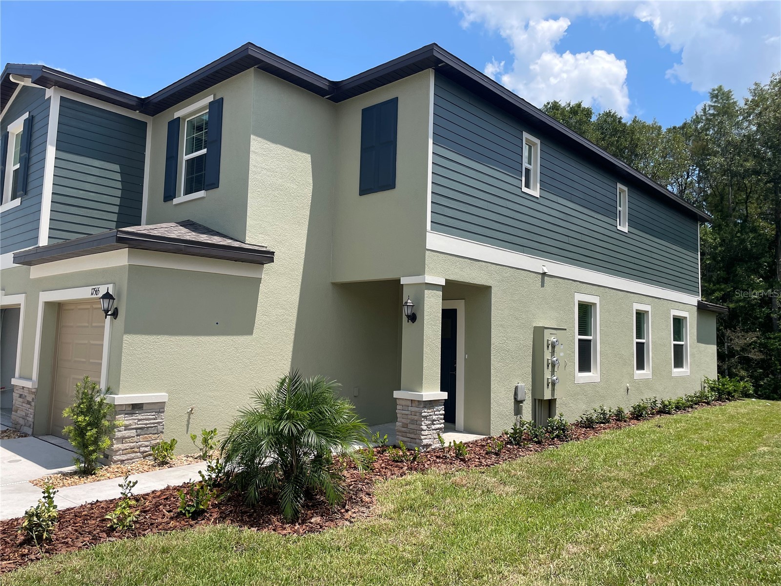 17565 Nectar Flume Drive Land O Lakes FL 34638 TB8527198 image2