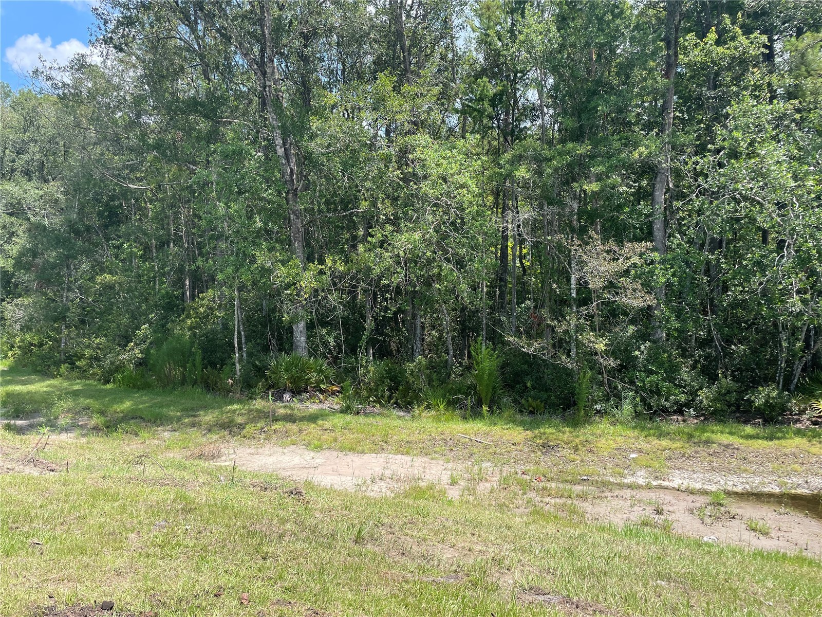 17565 Nectar Flume Drive Land O Lakes FL 34638 TB8527198 image23