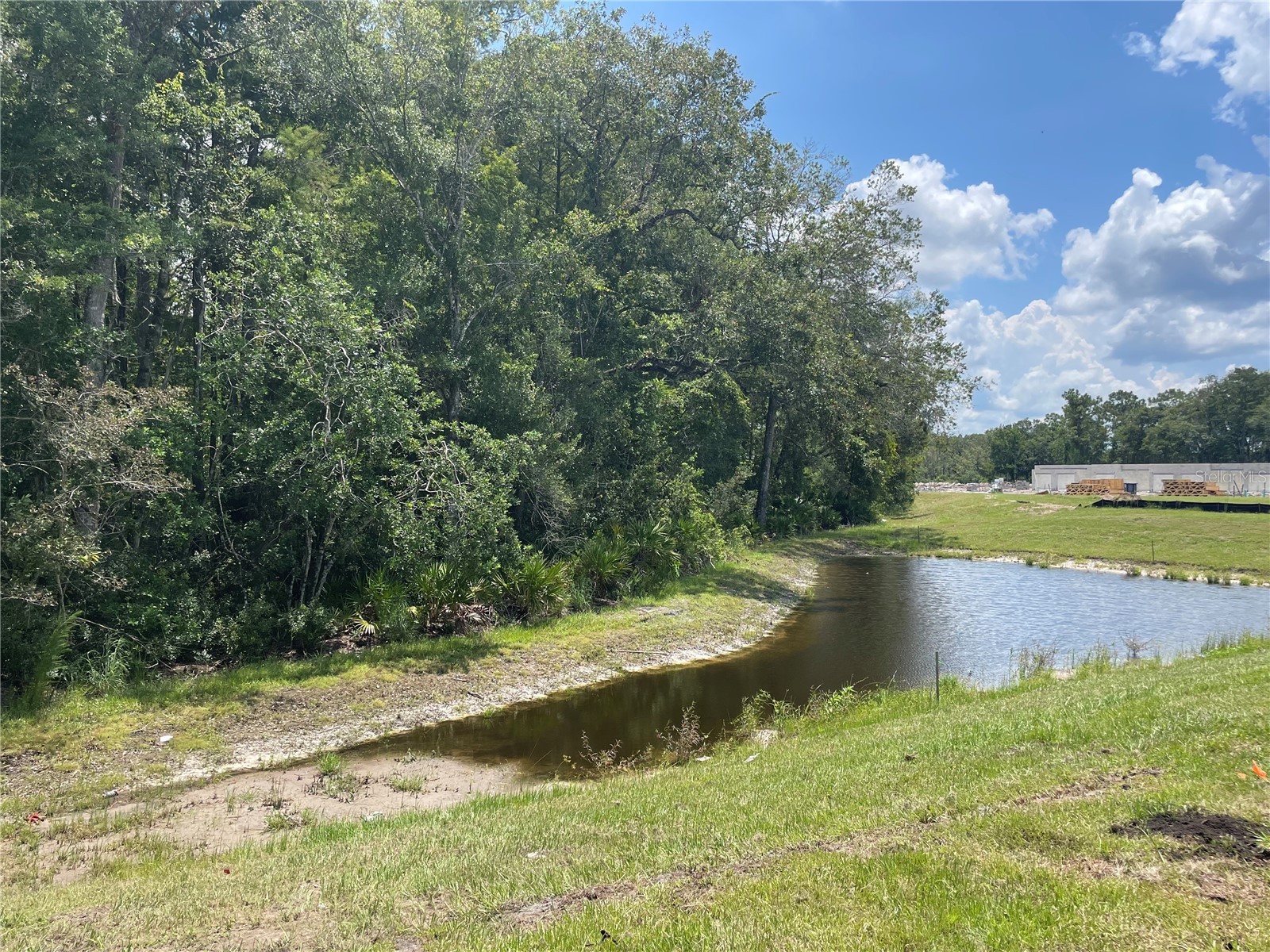 17565 Nectar Flume Drive Land O Lakes FL 34638 TB8527198 image24