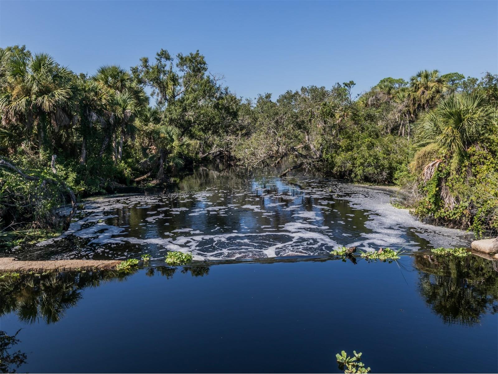 17566 De Miranda Avenue North Port FL 34287 N6133356 image70