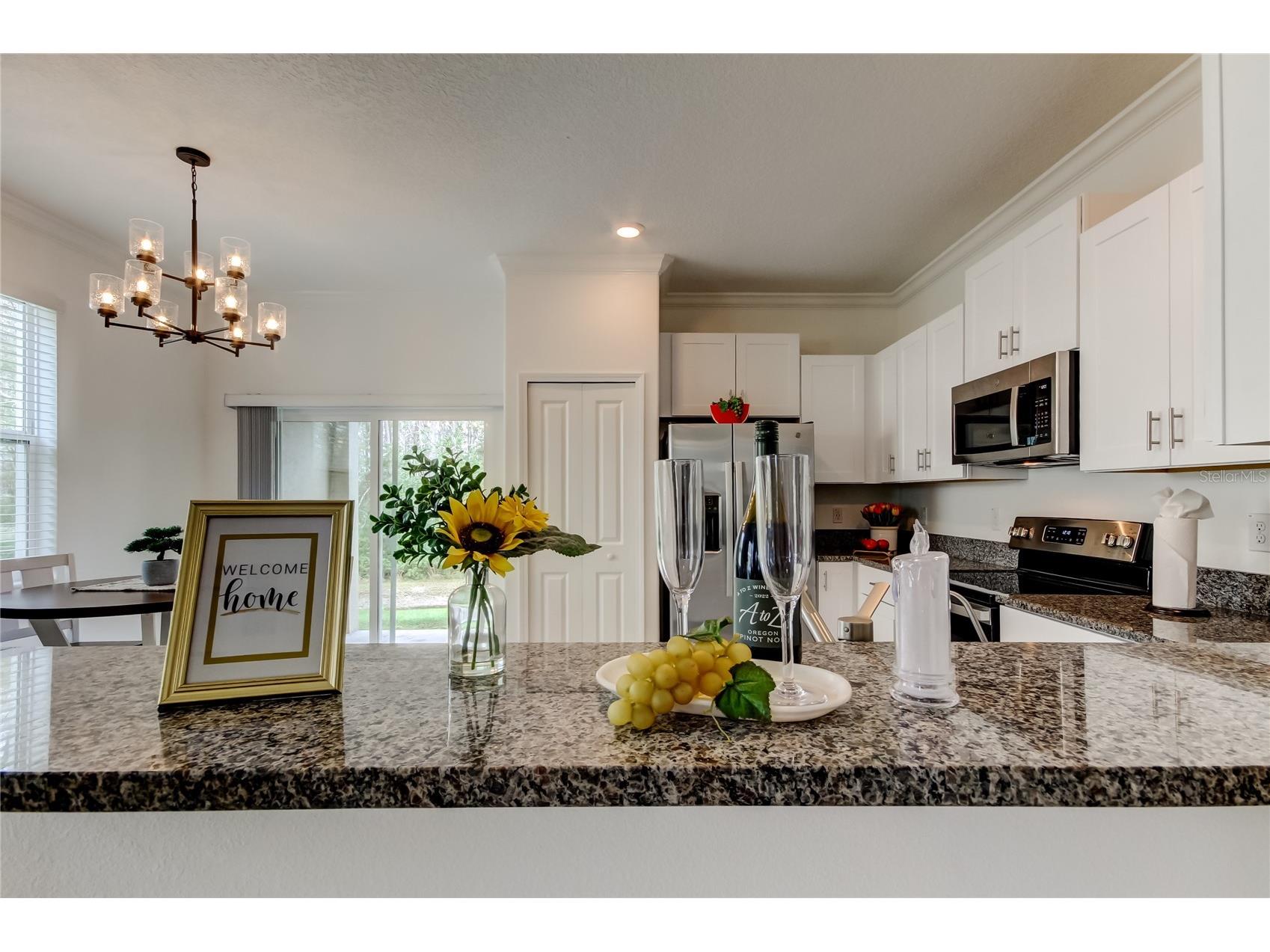 17567 Nectar Flume Drive Land O Lakes FL 34638 TB8475277 image12