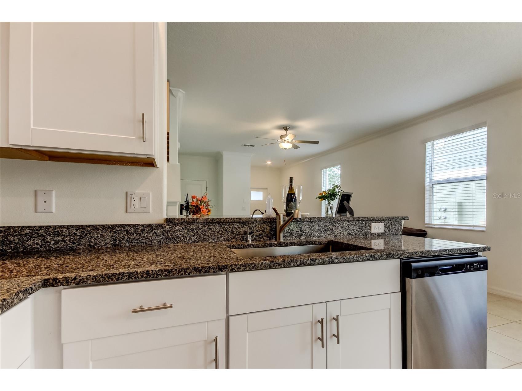 17567 Nectar Flume Drive Land O Lakes FL 34638 TB8475277 image16