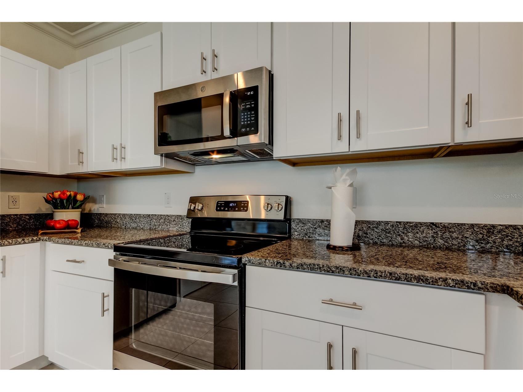 17567 Nectar Flume Drive Land O Lakes FL 34638 TB8475277 image17