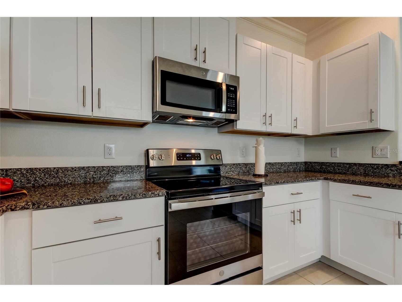 17567 Nectar Flume Drive Land O Lakes FL 34638 TB8475277 image19