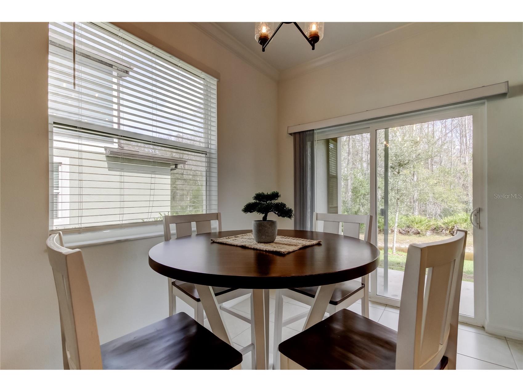 17567 Nectar Flume Drive Land O Lakes FL 34638 TB8475277 image23