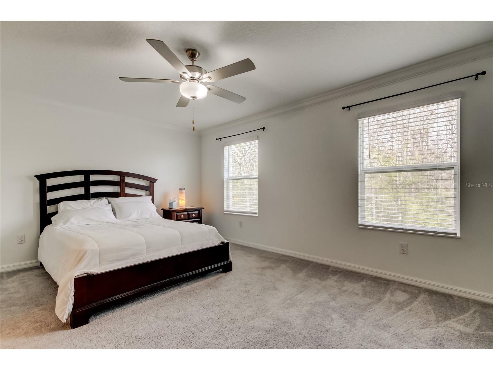 17567 Nectar Flume Drive Land O Lakes FL 34638 TB8475277 image29