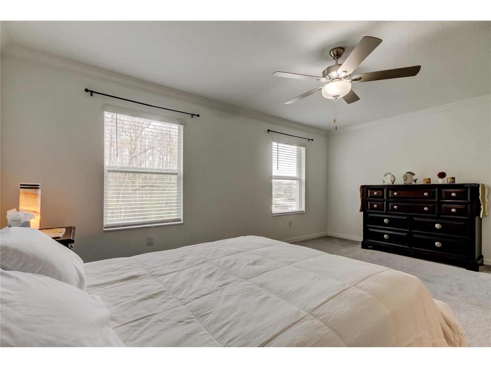 17567 Nectar Flume Drive Land O Lakes FL 34638 TB8475277 image30