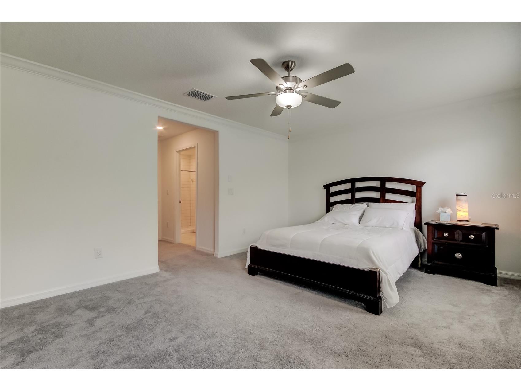 17567 Nectar Flume Drive Land O Lakes FL 34638 TB8475277 image31