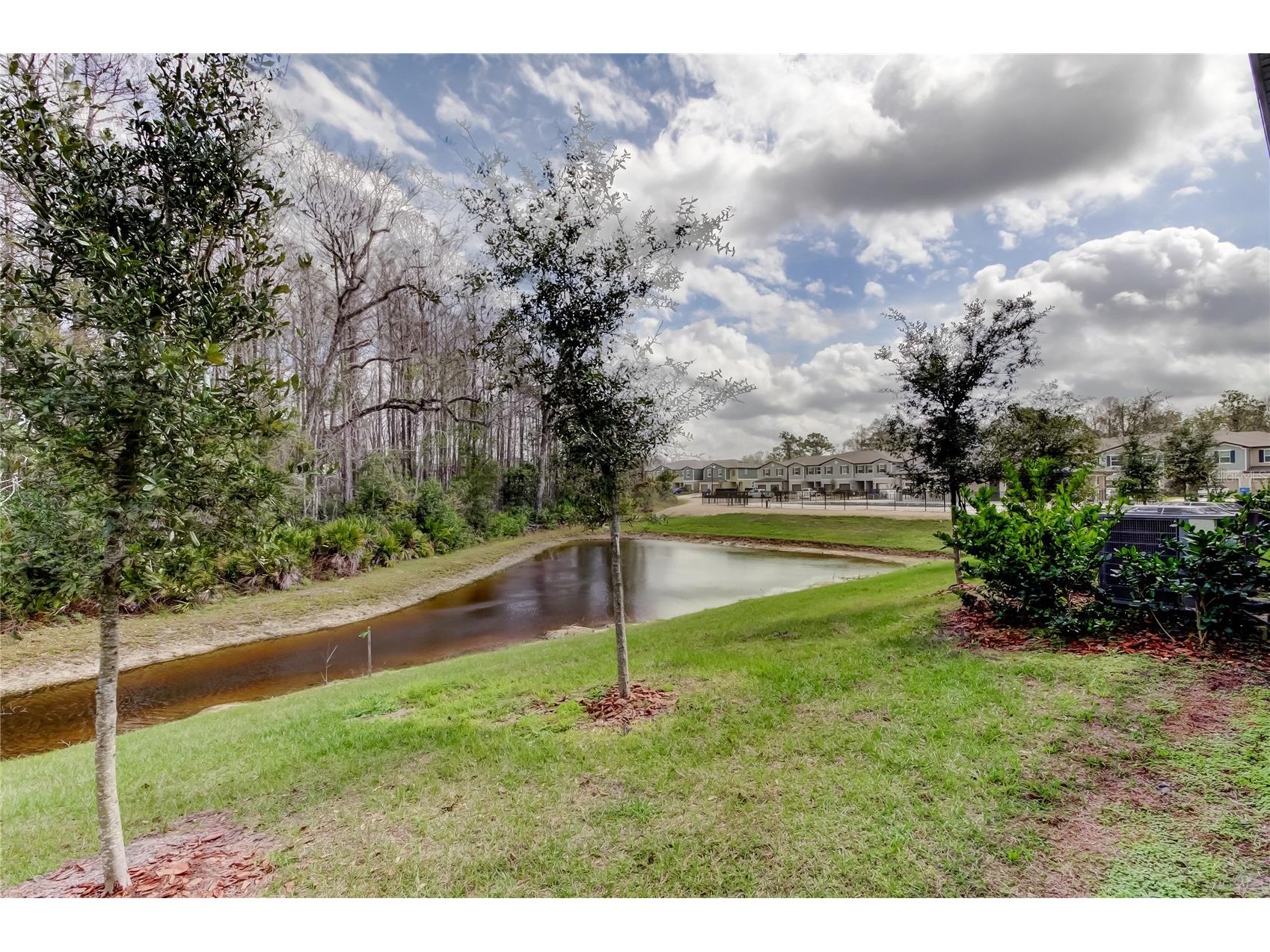 17567 Nectar Flume Drive Land O Lakes FL 34638 TB8475277 image50