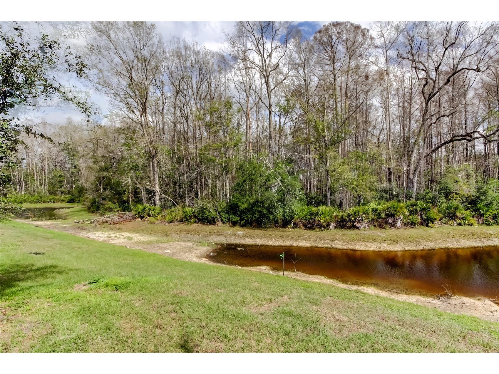 17567 Nectar Flume Drive Land O Lakes FL 34638 TB8475277 image51