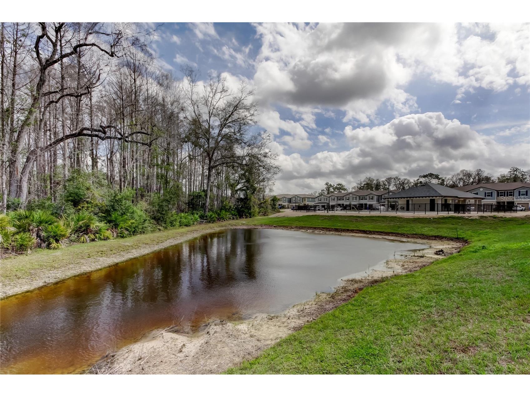 17567 Nectar Flume Drive Land O Lakes FL 34638 TB8475277 image52