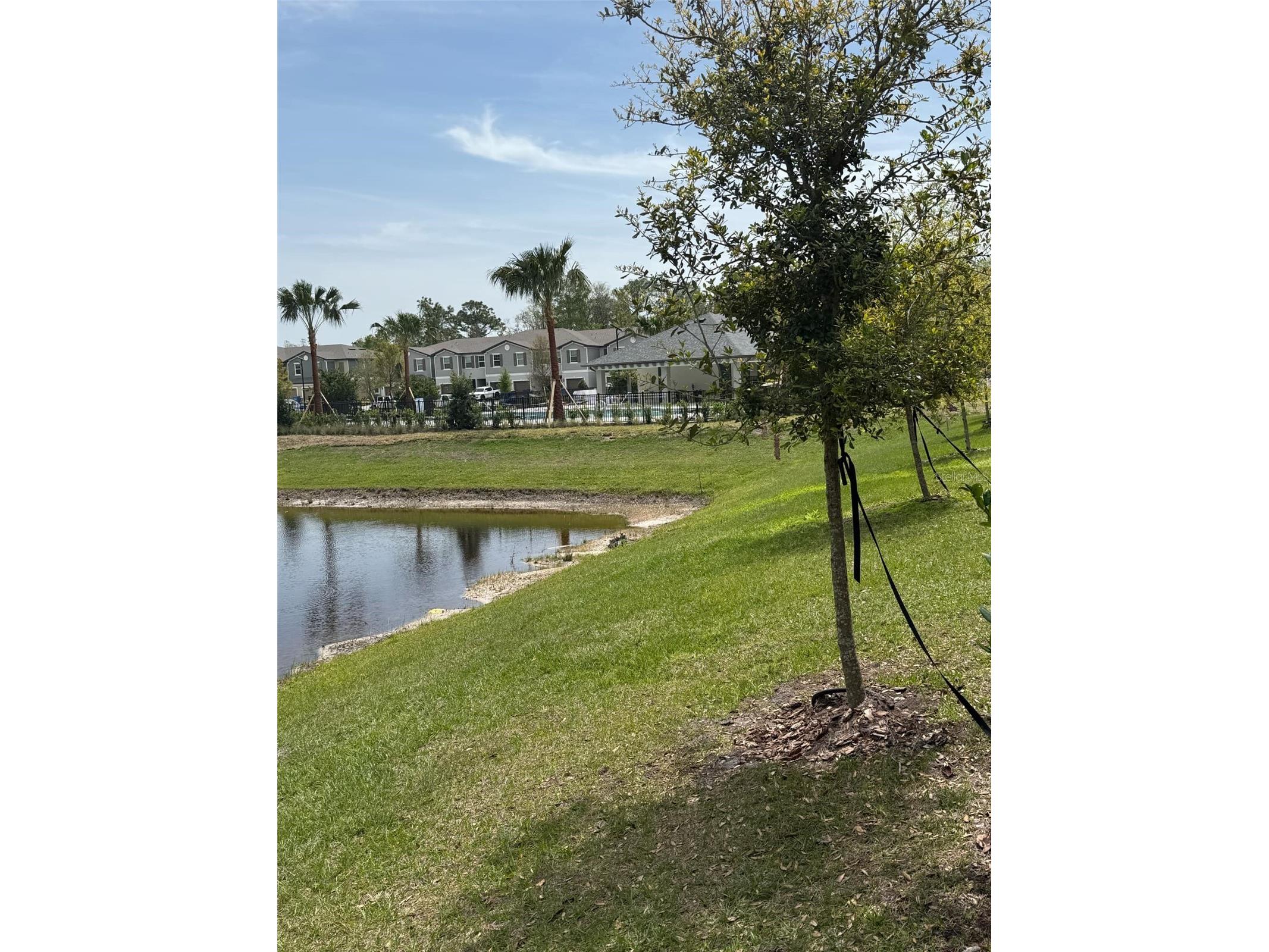 17567 Nectar Flume Drive Land O Lakes FL 34638 TB8475277 image81