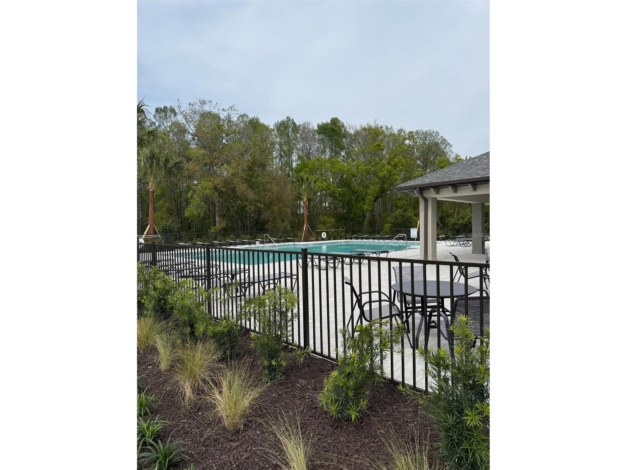 17567 Nectar Flume Drive Land O Lakes FL 34638 TB8475277 image82