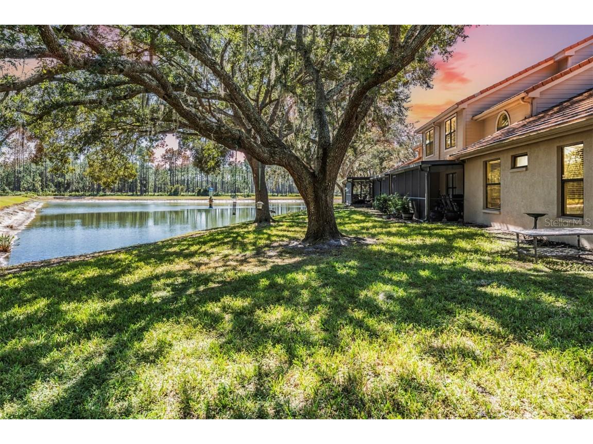 17569 Fairmeadow Drive Tampa FL 33647 TB8444237 image2