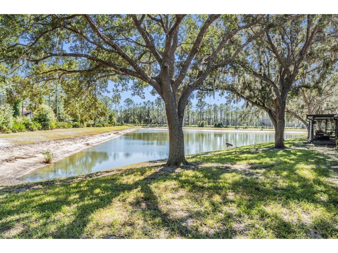 17569 Fairmeadow Drive Tampa FL 33647 TB8444237 image29