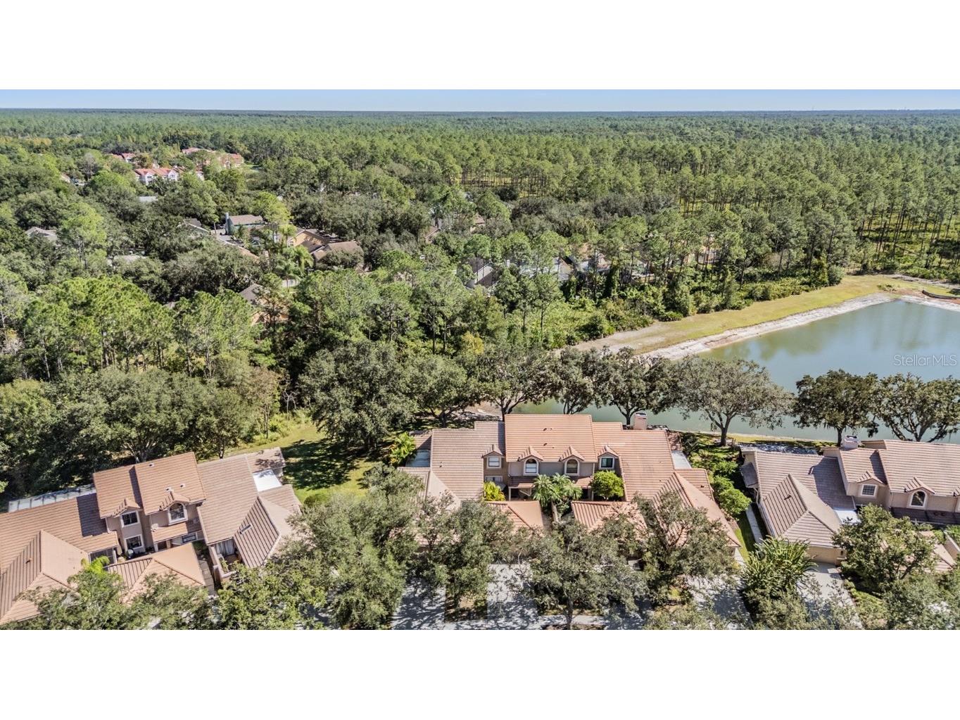 17569 Fairmeadow Drive Tampa FL 33647 TB8444237 image30