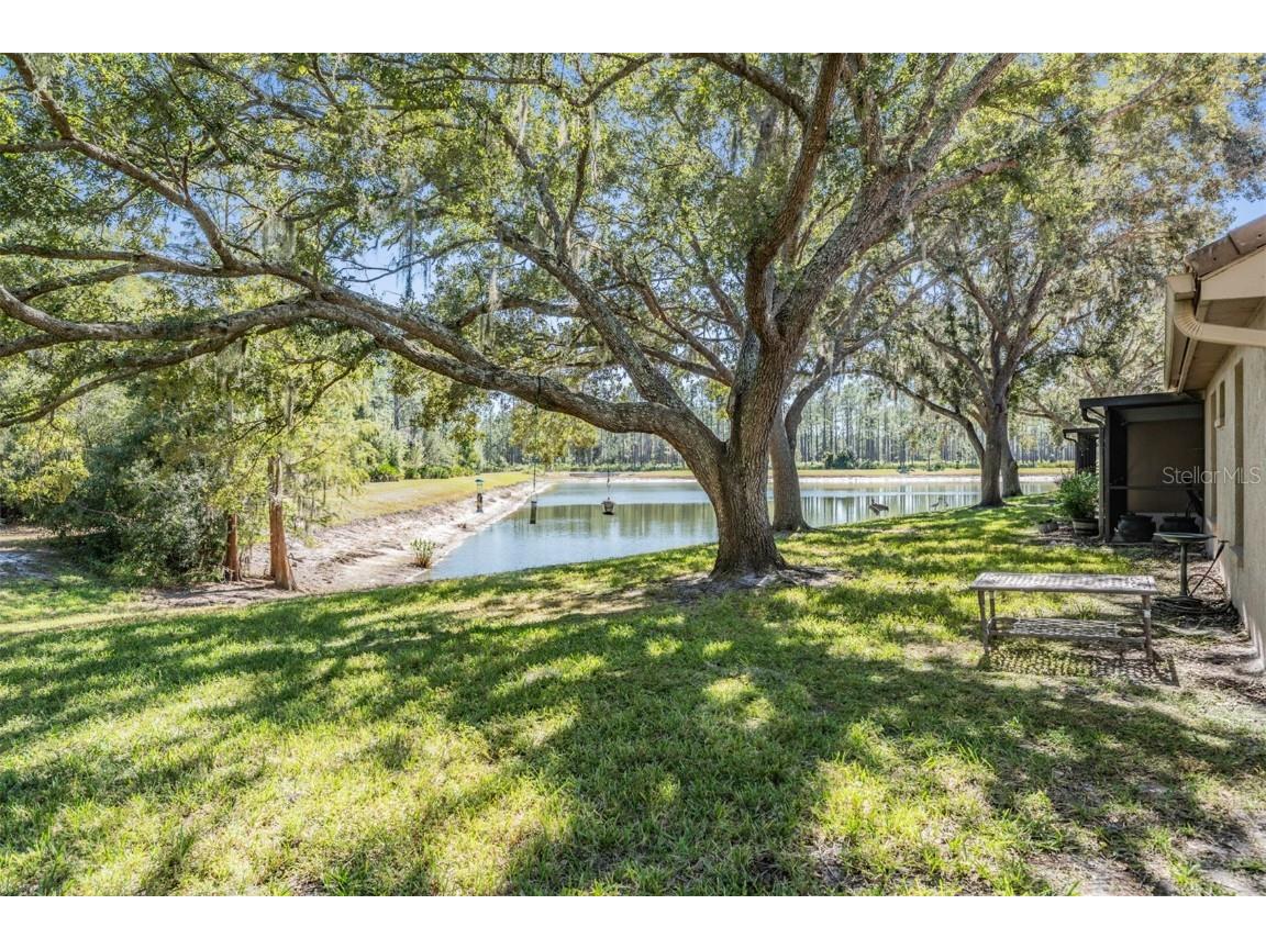 17569 Fairmeadow Drive Tampa FL 33647 TB8444237 image35