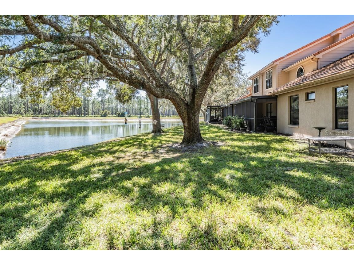17569 Fairmeadow Drive Tampa FL 33647 TB8444237 image38