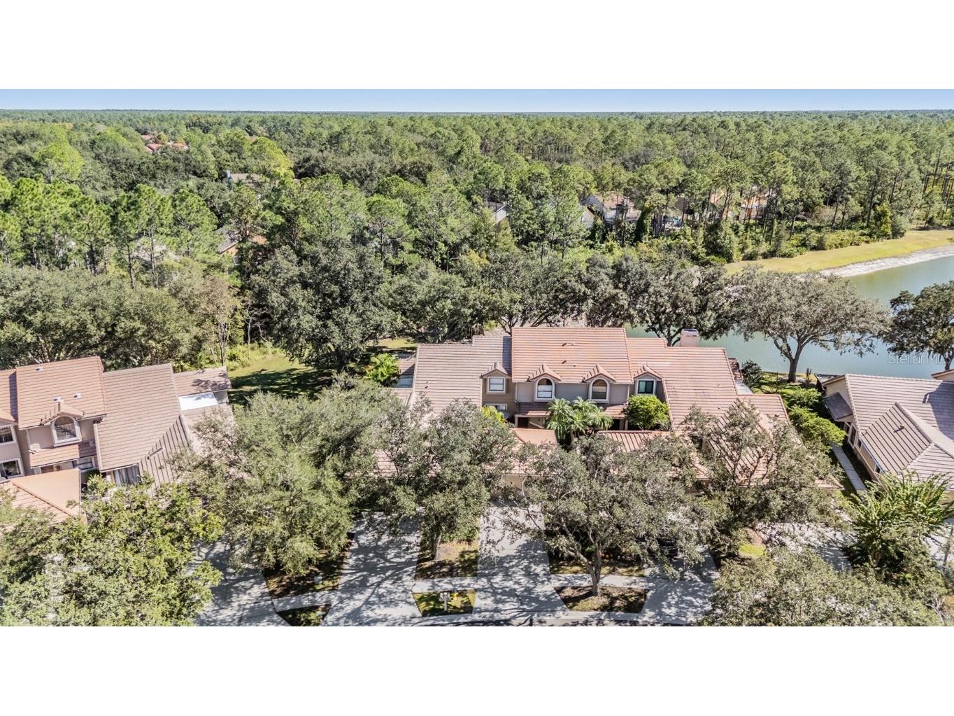 17569 Fairmeadow Drive Tampa FL 33647 TB8444237 image39