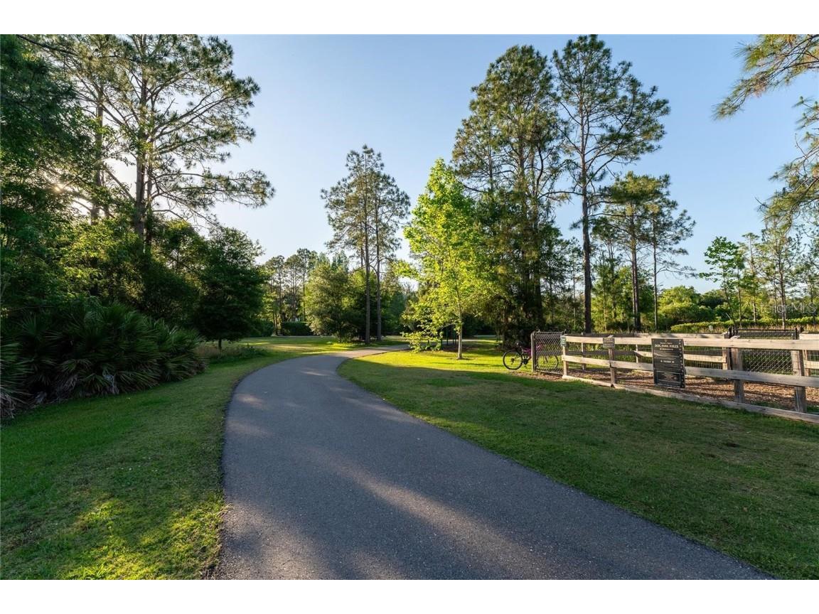 17569 Fairmeadow Drive Tampa FL 33647 TB8444237 image43