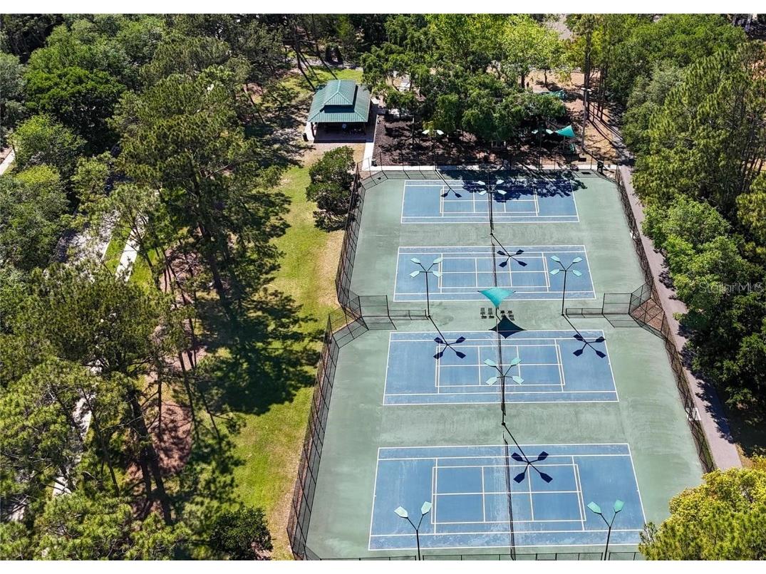 17569 Fairmeadow Drive Tampa FL 33647 TB8444237 image56