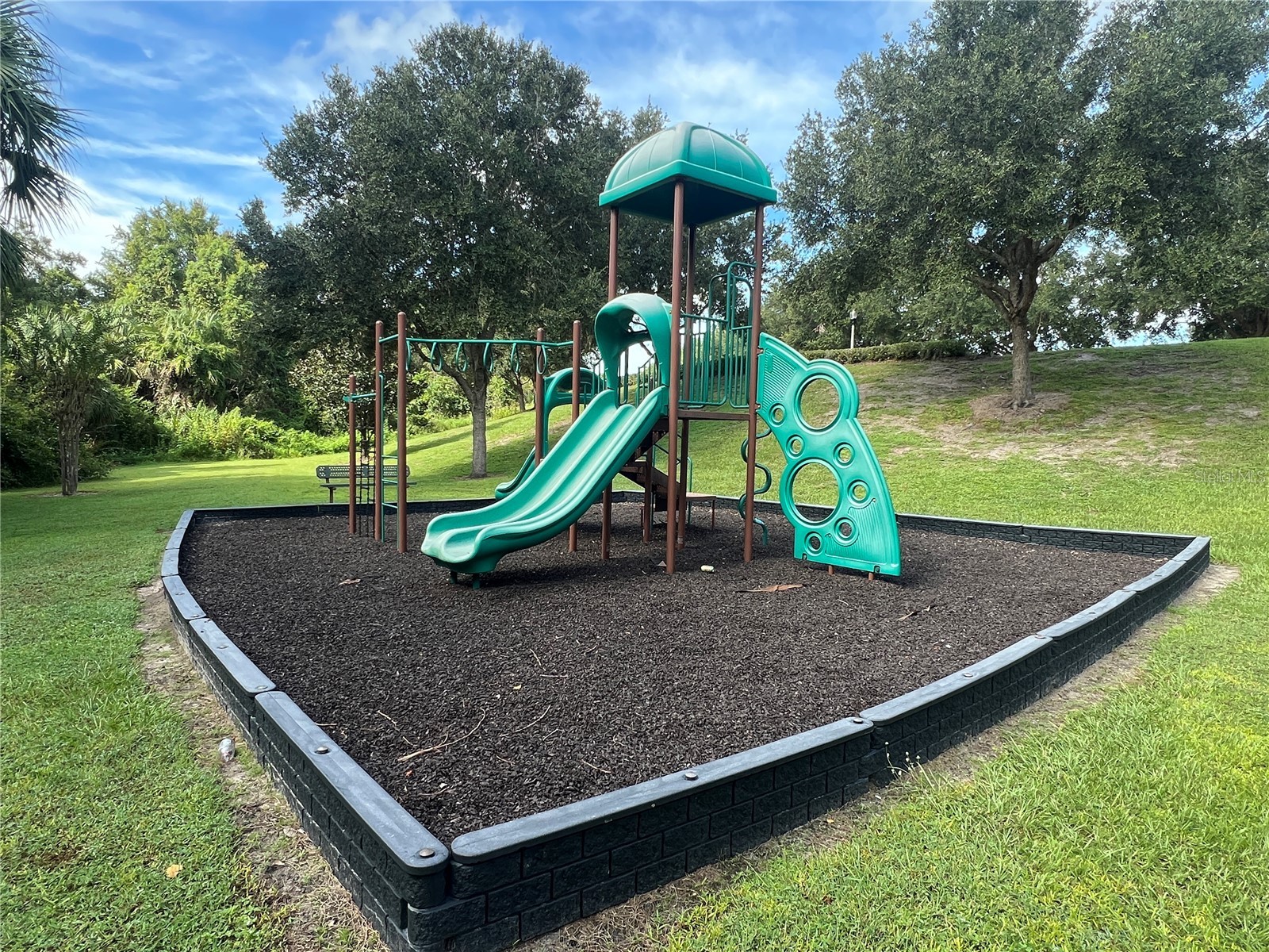 1757 Alejo Drive Apopka FL 32712 O6345870 image52
