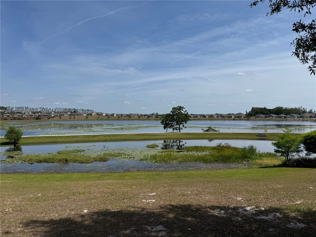 1757 Brush Cherry Place Ocoee FL 34761 O6302336 image32