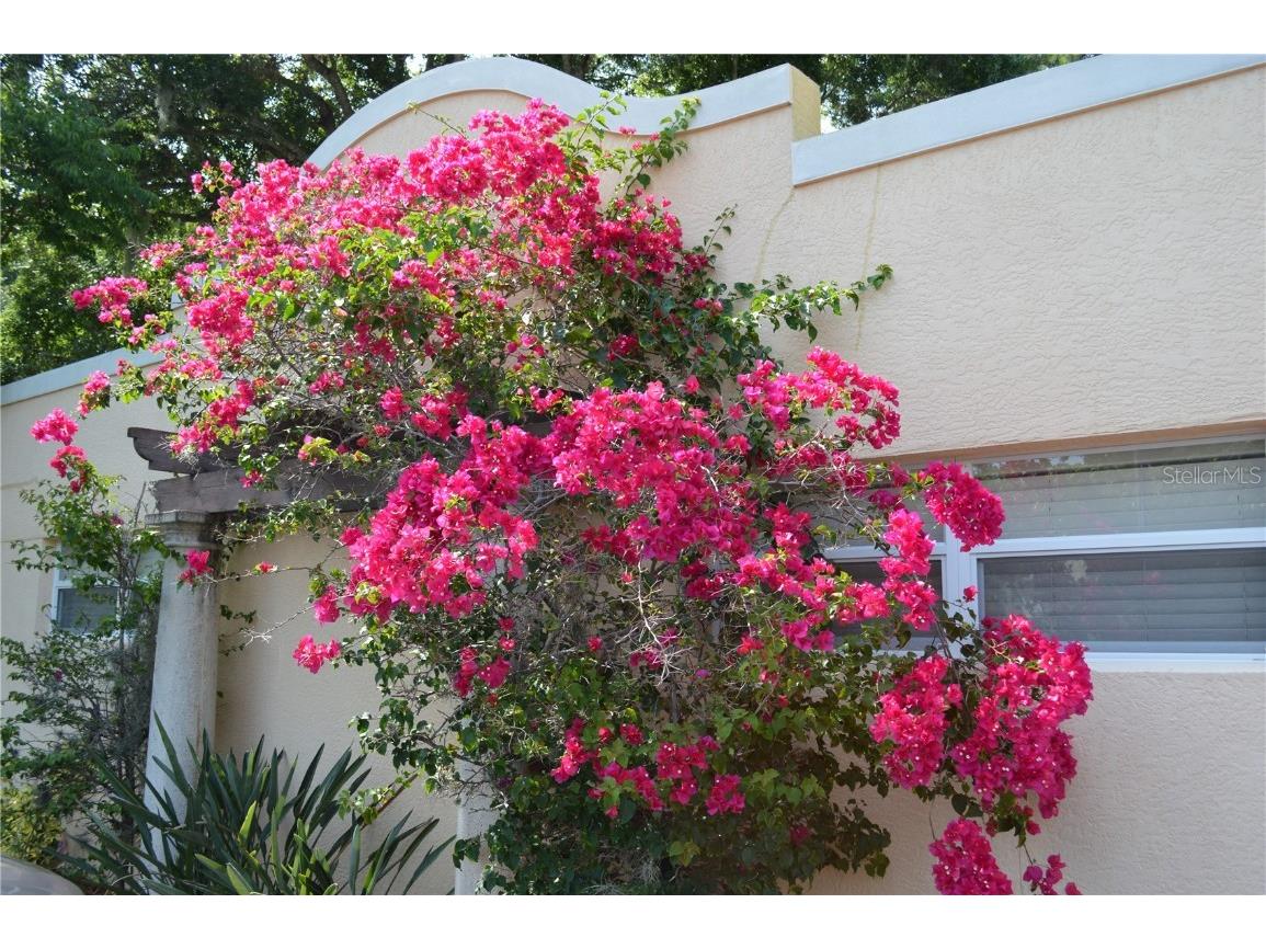 1757 Hillview Street #5 Sarasota FL 34239 A4671519 image1