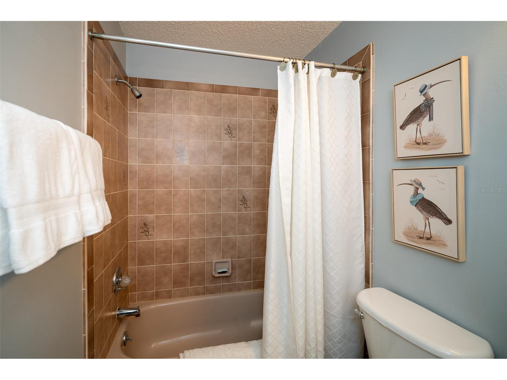 1757 Windsong Circle Flagler Beach FL 32136 O6407149 image32