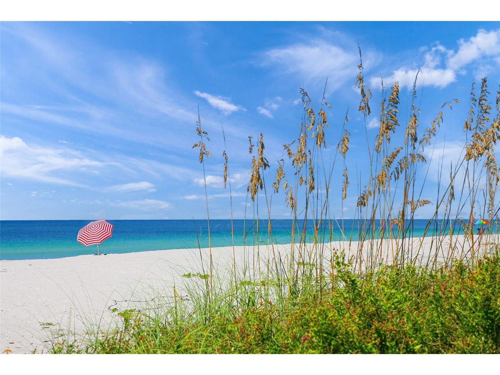 17571 Cantarina Cove Bradenton FL 34211 A4679448 image44