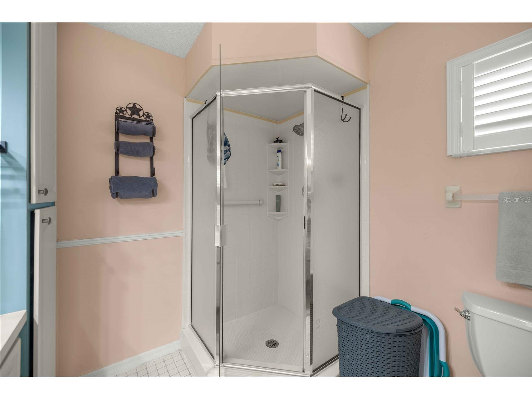 17571 SE 105th Terrace Summerfield FL 34491 OM727432 image23