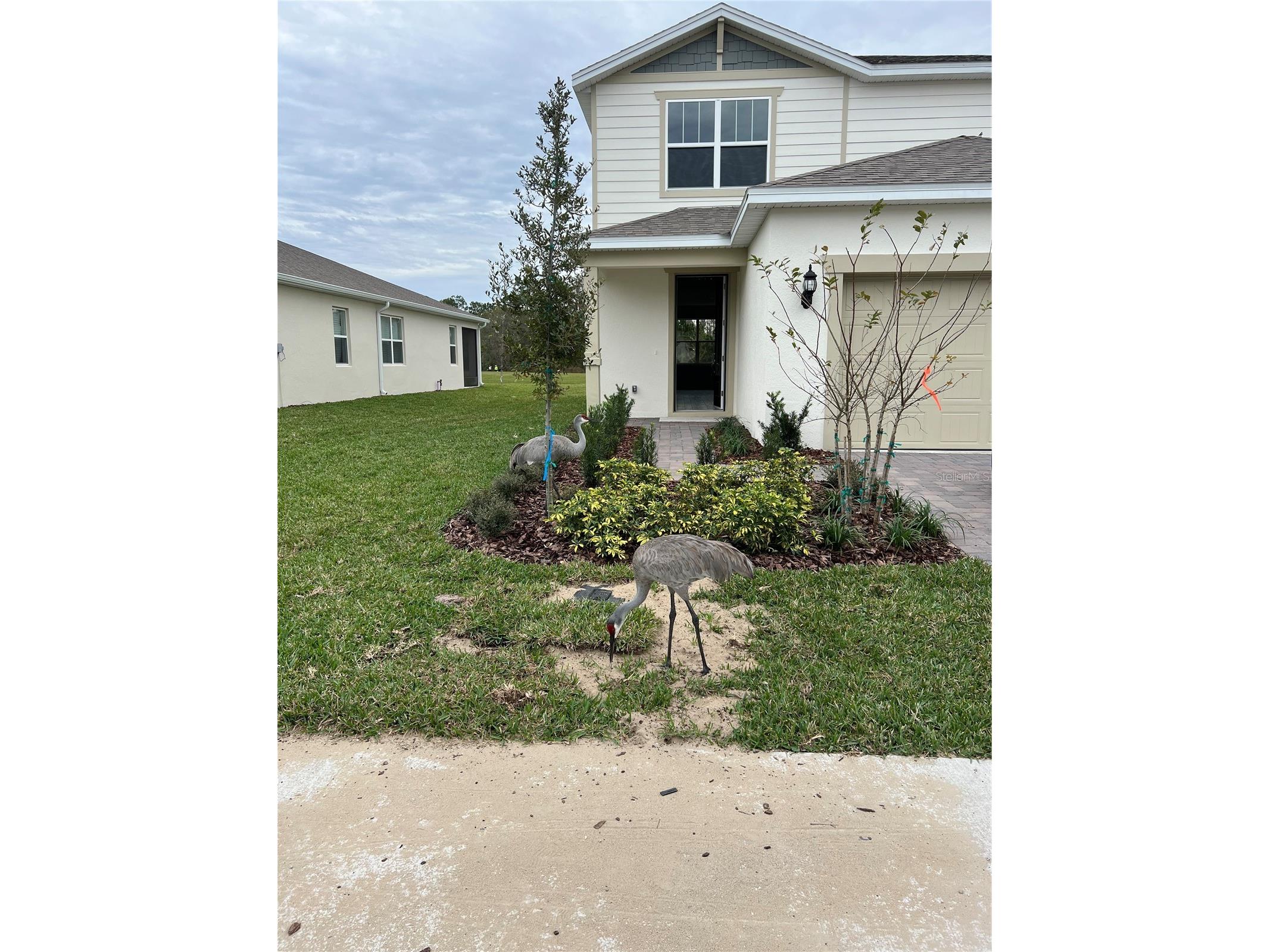 17575 Saw Palmetto Avenue Clermont FL 34714 O6401927 image47