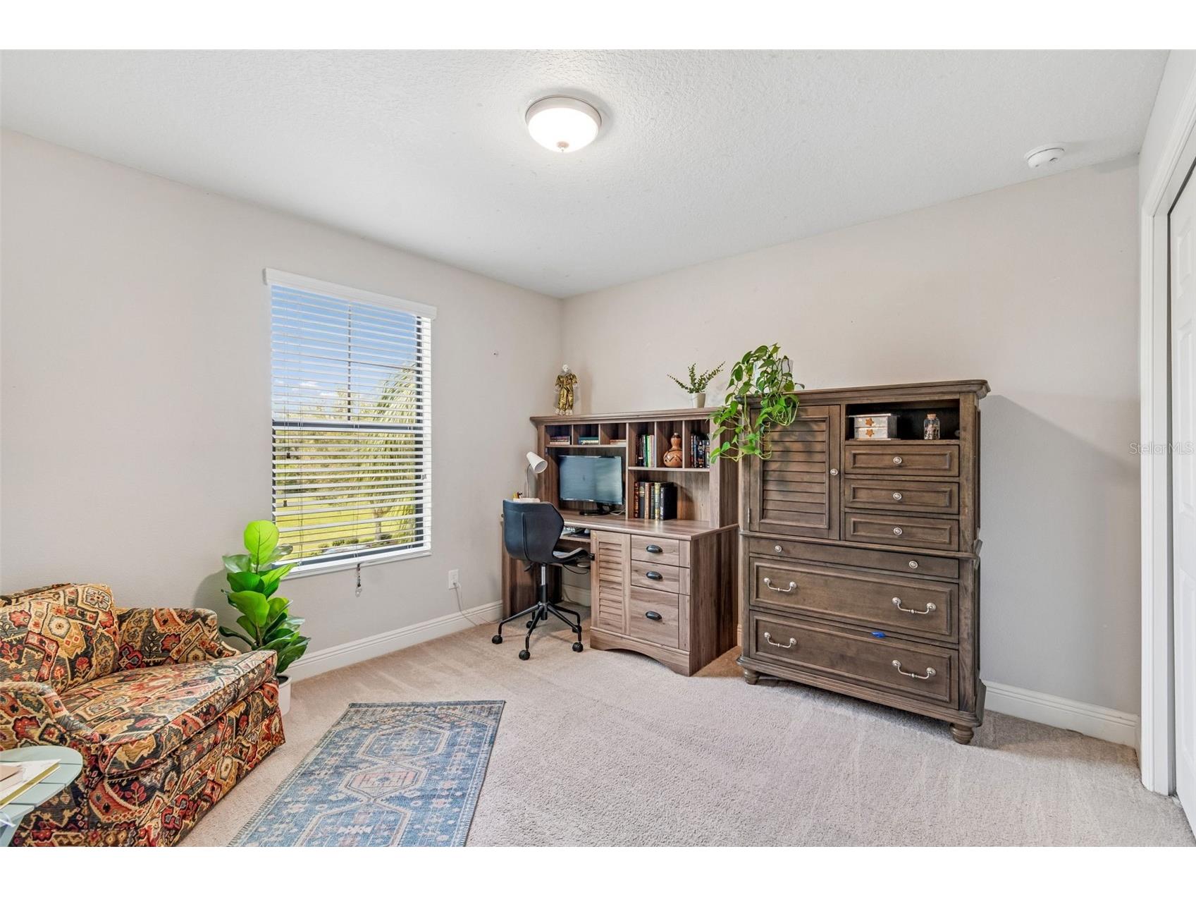 17576 Terrazzo Way Land O Lakes FL 34638 TB8521605 image36