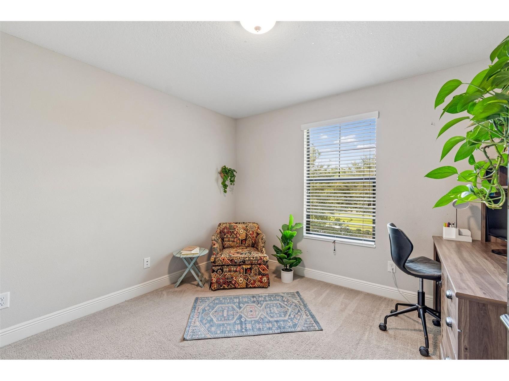 17576 Terrazzo Way Land O Lakes FL 34638 TB8521605 image37