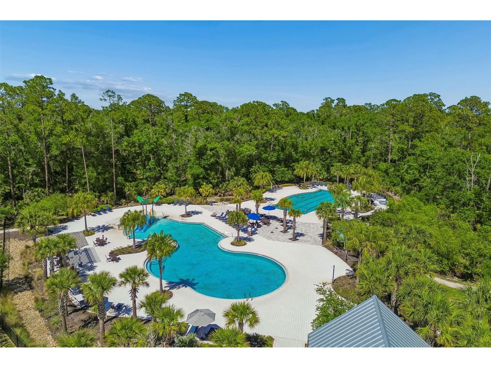 17576 Terrazzo Way Land O Lakes FL 34638 TB8521605 image55